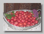IMG_4685 (Medium)